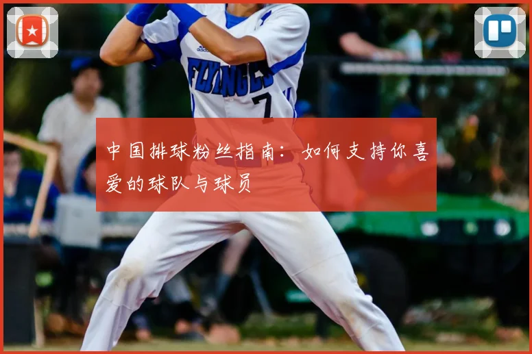 中国排球粉丝指南：如何支持你喜爱的球队与球员