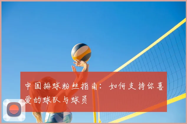 中国排球粉丝指南：如何支持你喜爱的球队与球员