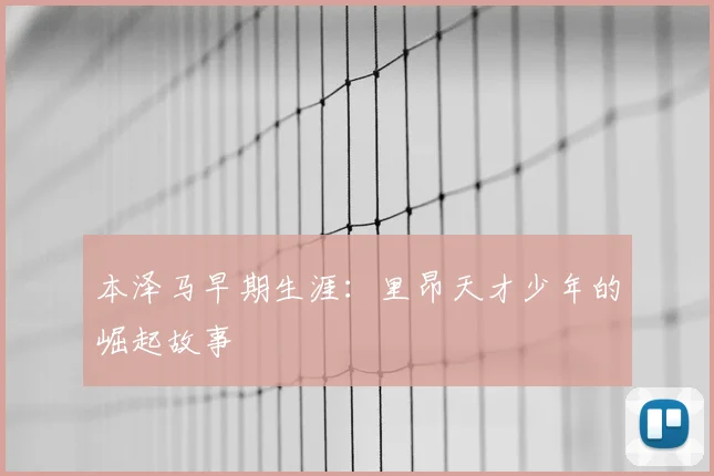 本泽马早期生涯：里昂天才少年的崛起故事
